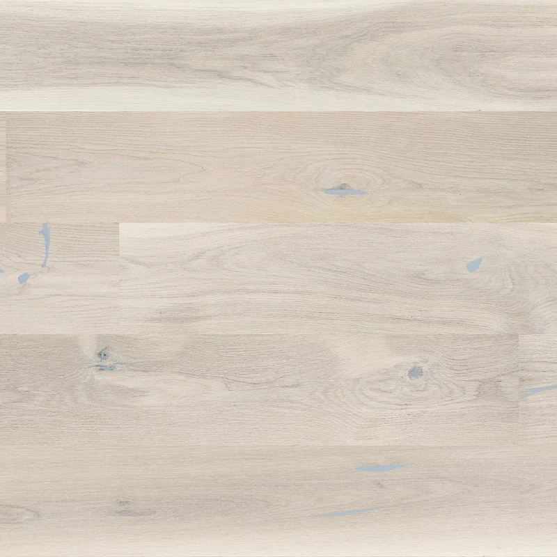 Stejar Gentle photo2